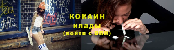 гашик Арсеньев