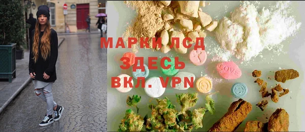 гашик Арсеньев