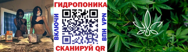 Бошки Шишки план  Советский 